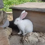Ariana Apartmán