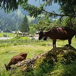 Ariana * Balderschwang