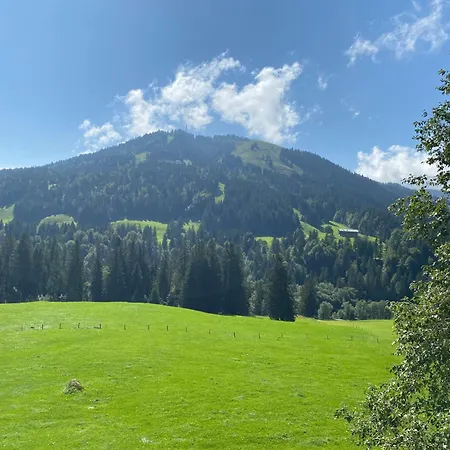 Ariana Apartment Balderschwang