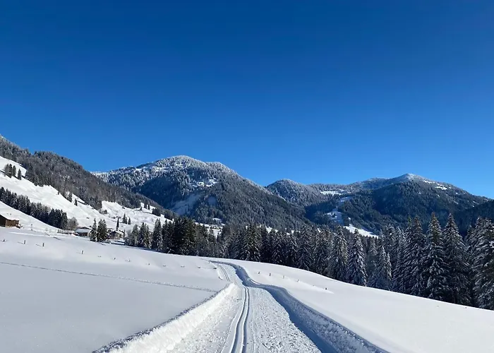 Ariana Apartment Balderschwang