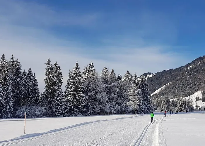 Apartment Ariana Balderschwang